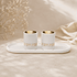 Shabbat Candle Lighting Set with Tray & Candlesticks - Polymer