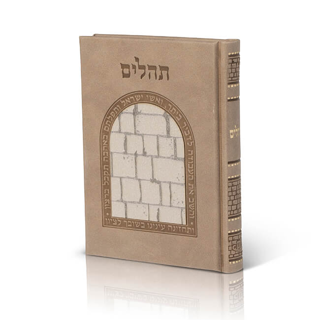 Tehillim – Kotel 3D Design (Medium) – 17×12 cm